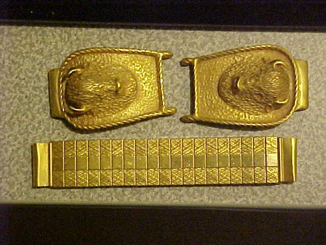 Click image for larger version

Name:	Bison_Watch_Band.jpg
Views:	209
Size:	90.4 KB
ID:	428373