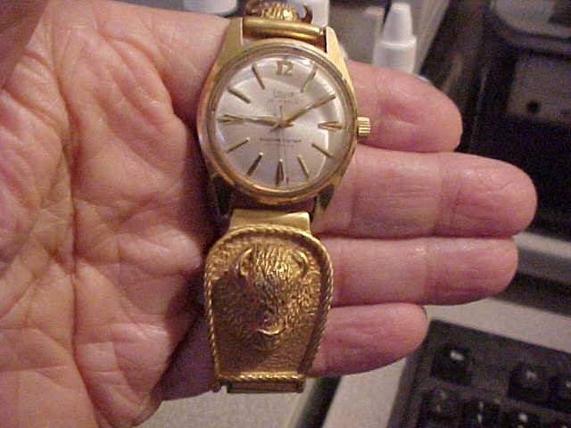 Click image for larger version

Name:	My Bison Watch Band_001.jpg
Views:	209
Size:	62.0 KB
ID:	428374
