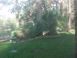 Click image for larger version  Name:	Right Island_001.jpg Views:	0 Size:	80.7 KB ID:	436416