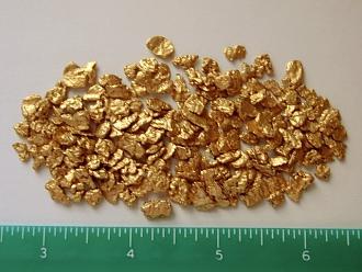 Click image for larger version

Name:	alaska-gold-nuggets-from-53-per-gram-32.jpg
Views:	346
Size:	76.6 KB
ID:	441536