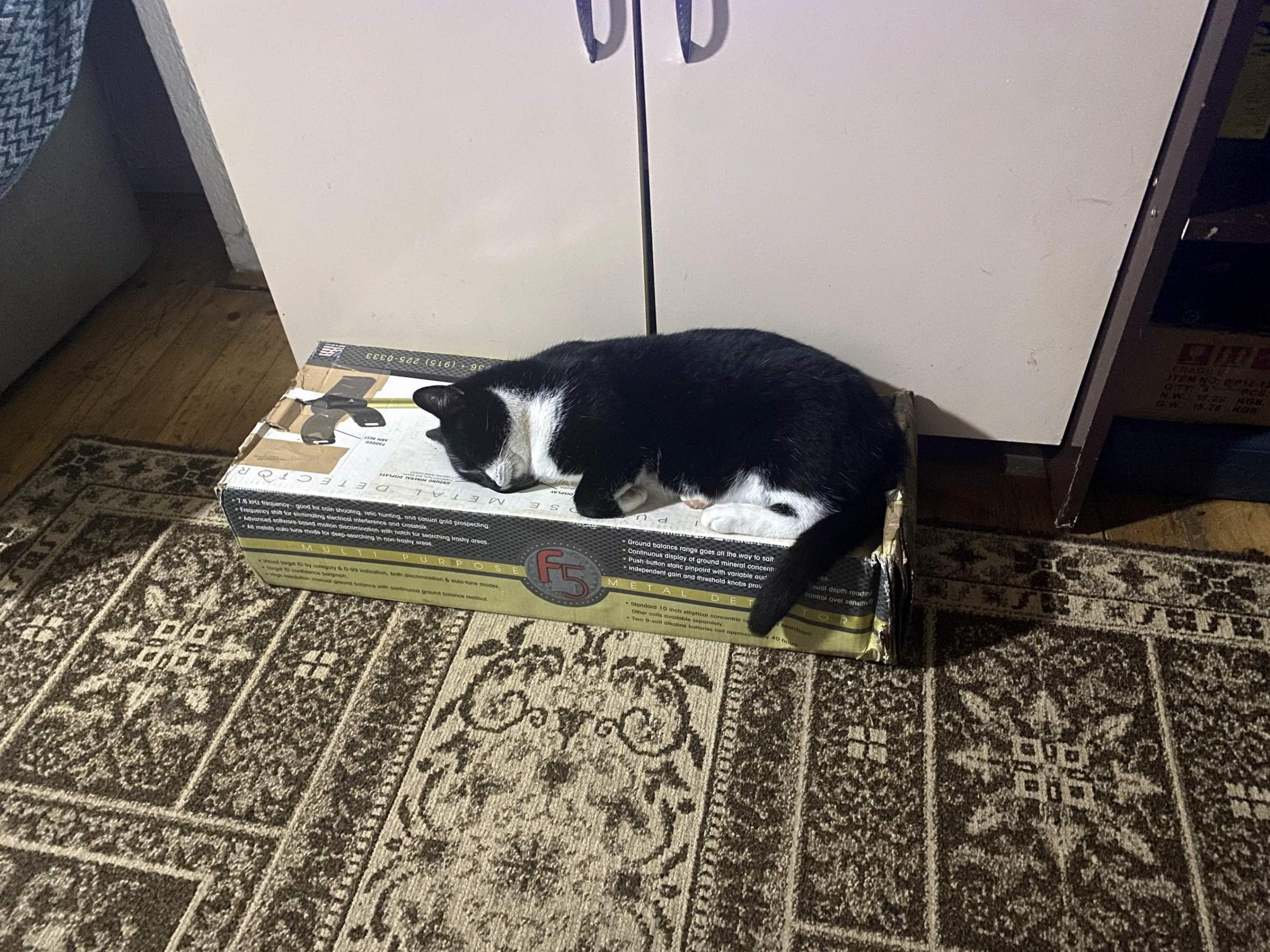 Click image for larger version

Name:	IMG_0866.jpg
Views:	115
Size:	698.2 KB
ID:	442287