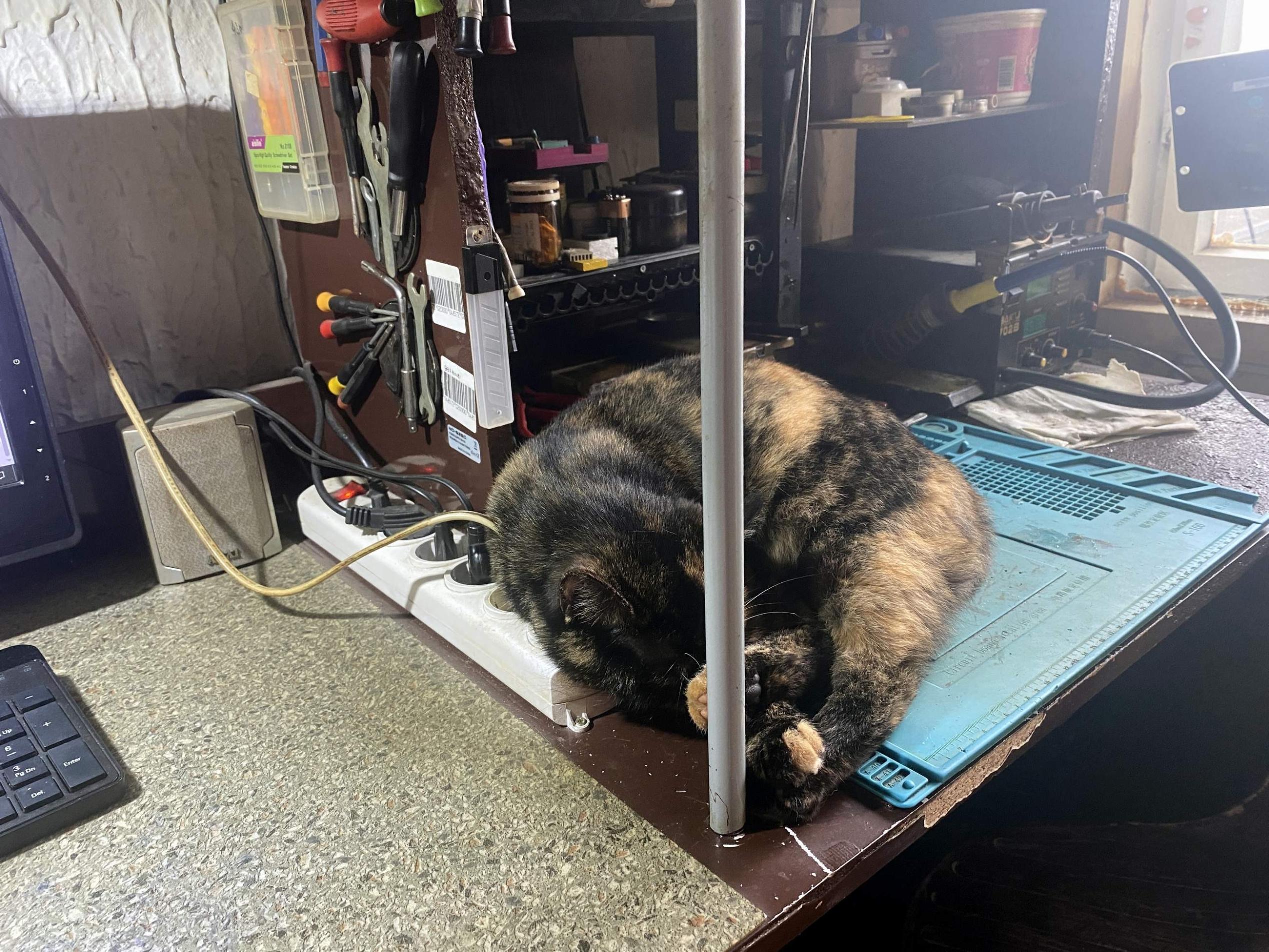 Click image for larger version

Name:	IMG_0886.jpg
Views:	1082
Size:	677.1 KB
ID:	442297