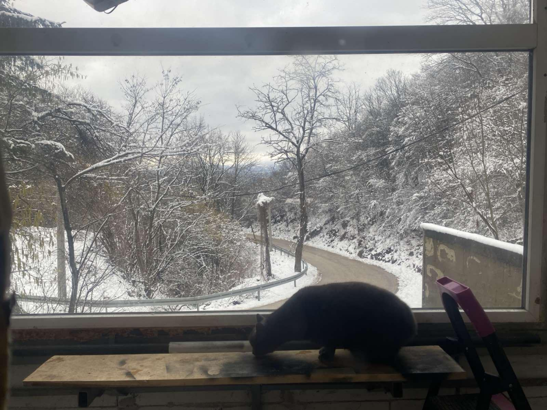 Click image for larger version

Name:	image.png
Views:	127
Size:	1.09 MB
ID:	445570