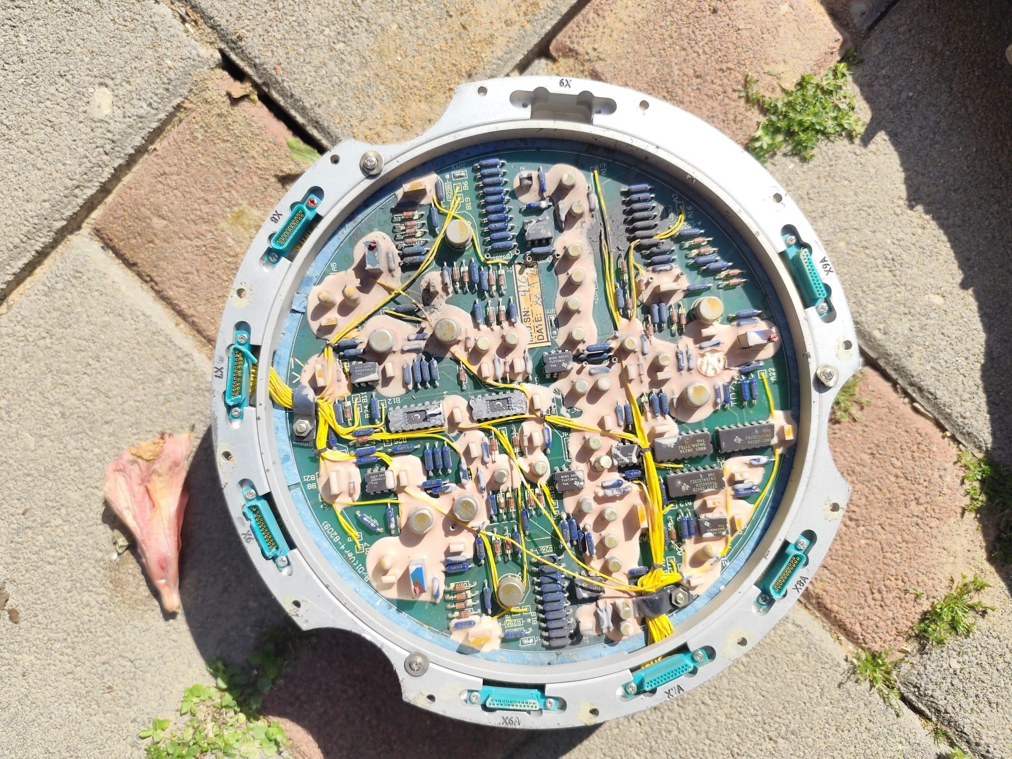 Click image for larger version

Name:	645352475_10239302399205641_8533473672022117237_n.jpg?_nc_cat=100&amp;ccb=1-7&amp;_nc_sid=7b2446&amp;_nc_ohc=d_AwtXHJcW8Q7kNvwFHs_jP&amp;_nc_oc=AdnJFEO9Sv7vwmFheZUeYsfu88CimDZoP5rromEQBRTv_dsoapneoqE57AiiibiRn8w&amp;_nc_zt=23&amp;_nc_ht=scontent.fkun1-2.f
Views:	132
Size:	880.9 KB
ID:	445839